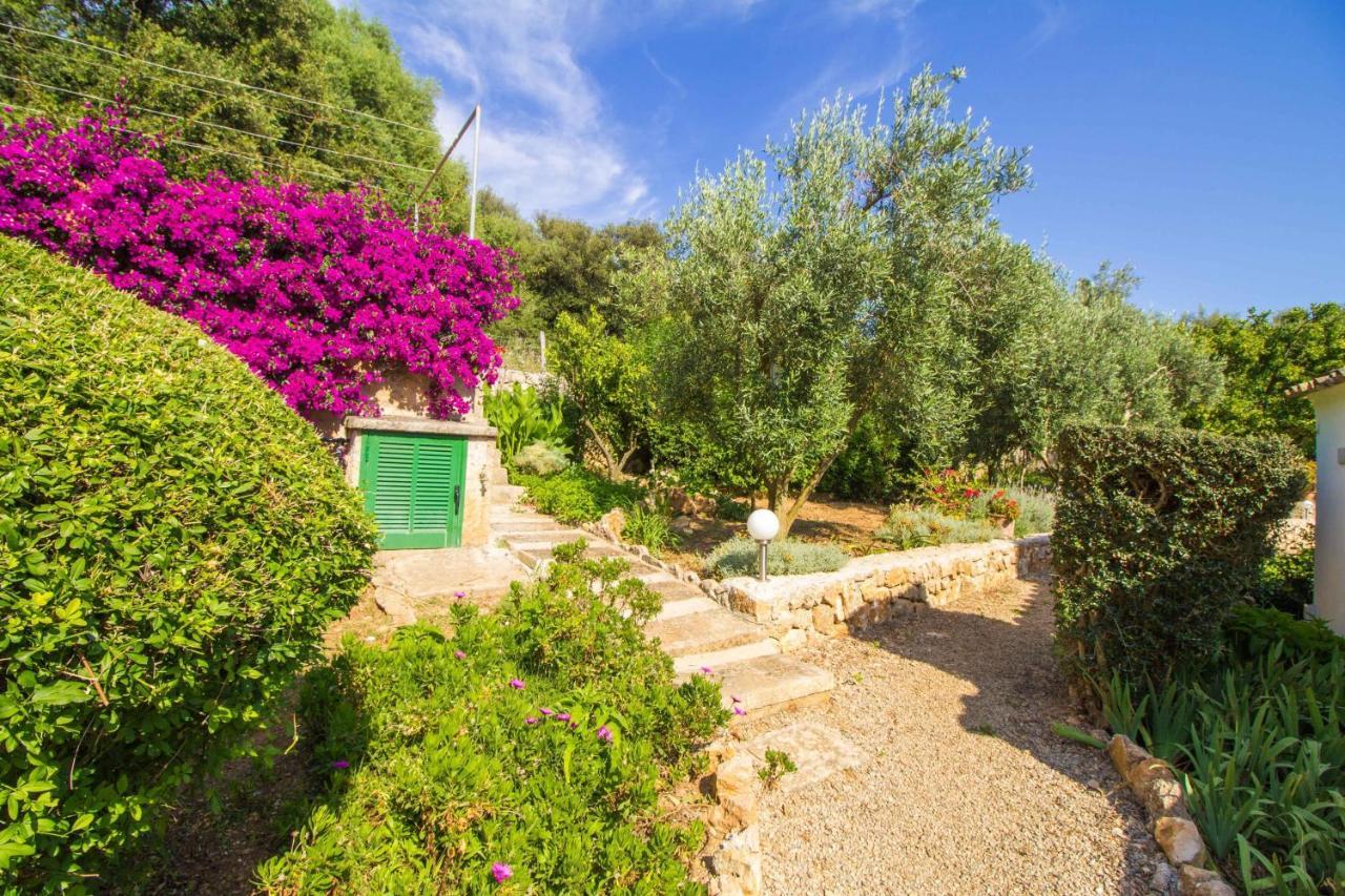Preciosa Villa Tipica Mallorquina Con Wifi Y A/C Pollença Eksteriør billede
